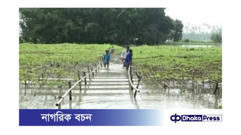 বাগেরহাটের বন্যা: কৃষকেরা চরম বিপাকে