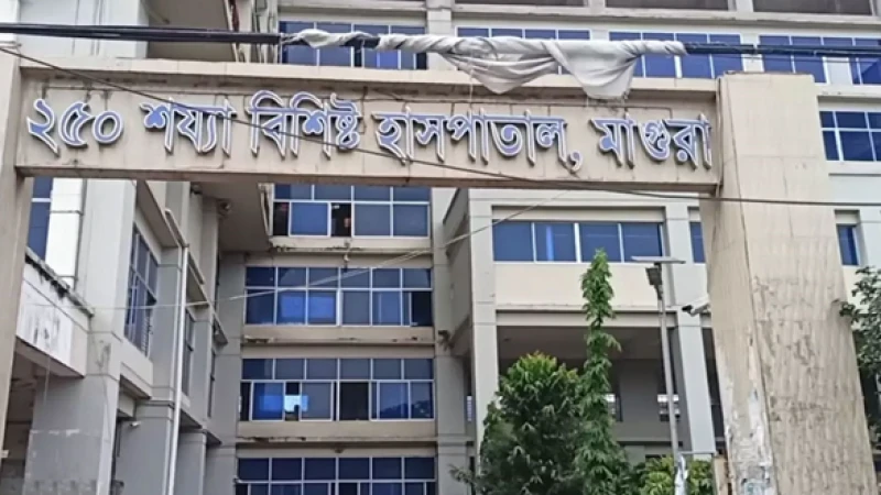 মাগুরায় ভয়াবহ সড়ক দুর্ঘটনা: দুই যুবকের মৃত্যু