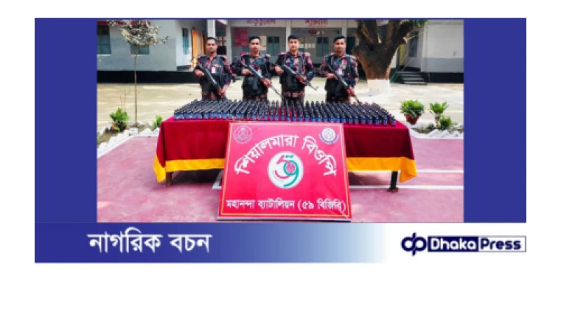 শিবগঞ্জ সীমান্তে মহানন্দা ব্যাটালিয়ান ৫৯ বিজিবির অভিযানে ৩৯৪ বোতল ফেনসিডিল উদ্ধার 