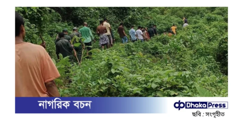 টেকনাফে পাহাড় থেকে ১৭ বনকর্মী অপহৃত