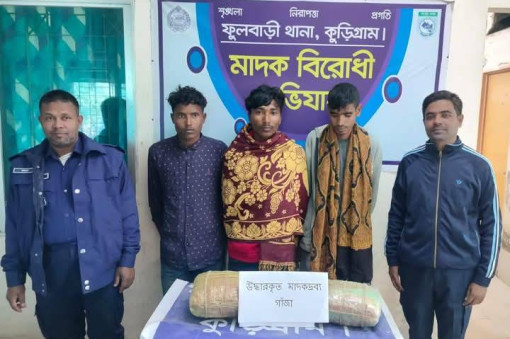 কুড়িগ্রামে ৮ কেজি গাঁজাসহ ৩ মাদক কারবারি গ্রেপ্তার
