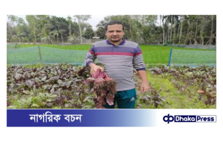 বিটরুট চাষ করে সফল কুড়িগ্রামের সাইদুর