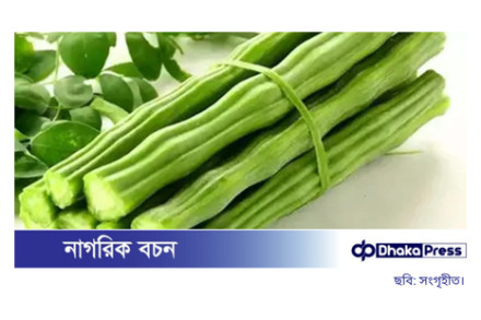 গরমে হজমের সমস্যা কমাতে সজনে ডাঁটার উপকারিতা