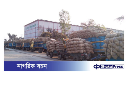 আলু নিয়ে বিপাকে কৃষক, জায়গা নেই হিমাগারে