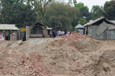 নিলাম ছাড়াই সরকারি গাছ কাটার অভিযোগ