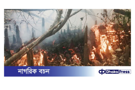 সুন্দরবনে ভয়াবহ অগ্নিকাণ্ড