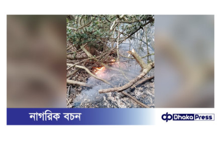 সুন্দরবনের আগুন নিয়ন্ত্রণে