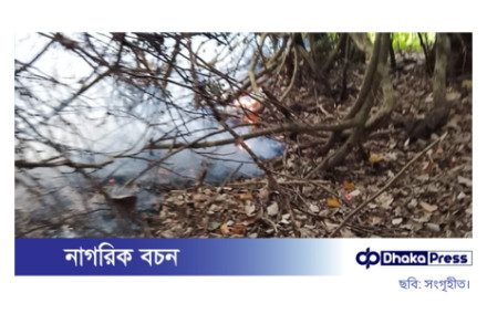সুন্দরবনে নতুন এলাকায় আগুন, ধোঁয়ার কুণ্ডলী