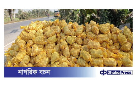 কৃষকের দুঃশ্চিন্তার আলু নিচ্ছে রপ্তানিকারক কোম্পানি