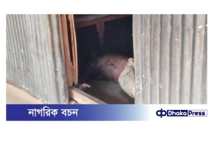 বড়াইগ্রামে ওর্য়াড যুবদল নেতার অর্ধ গলিত লাশ উদ্ধার।