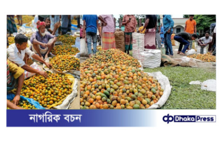 প্রতি মৌসুমে হাটবারে বিক্রি হয় কোটি টাকার সুপারি