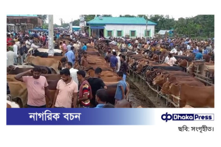হাতিয়ায় ২৫ বছরের পুরনো গরুর হাটের পাশে জোরপূর্বক বিকল্প হাট, ব্যাপক বিশৃঙ্খলার অভিযোগ