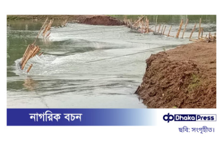 টাঙ্গুয়ার হাওরে নজরখালী বাঁধ ভেঙে ঢুকছে পাহাড়ি ঢলের পানি