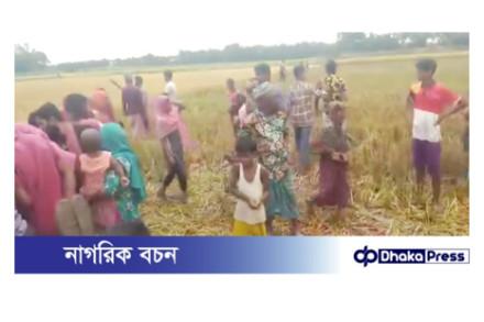 মুরাদনগরে ধান কাটতে গিয়ে বজ্রপাতে দুই কৃষকের মৃত্যু