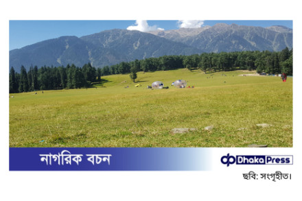 পাকিস্তানকে সমর্থন করে পোস্ট: আসামে ৩০ জন গ্রেপ্তার
