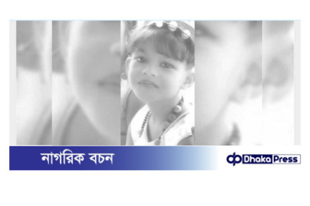 বড়াইগ্রামে ঝড়ে দেওয়ার ভেঙ্গে পড়ে মারা গেলেন বিথী