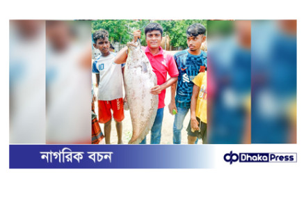 ব্রহ্মপুত্রে বড়‌শিতে আটঁকালো সাড়ে ৯ কে‌জি চিতল
