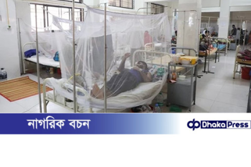 ডেঙ্গুতে আরও দুইজনের মৃত্যু