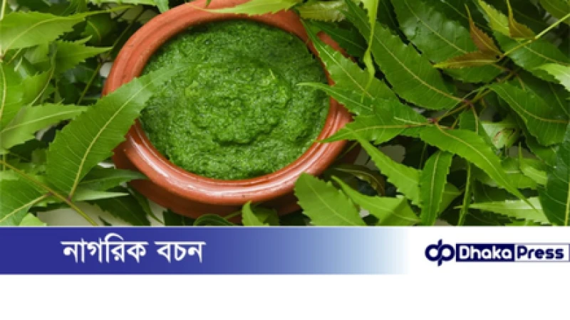 ত্বক ডিটক্সে প্রাকৃতিক সমাধান: নিম পাতা