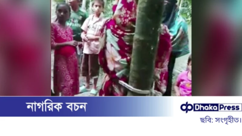 গাছের সঙ্গে বেঁধে গৃহবধূকে রাতভর নির্যাতন, ক্ষোভে ফুঁসে উঠেছে এলাকা