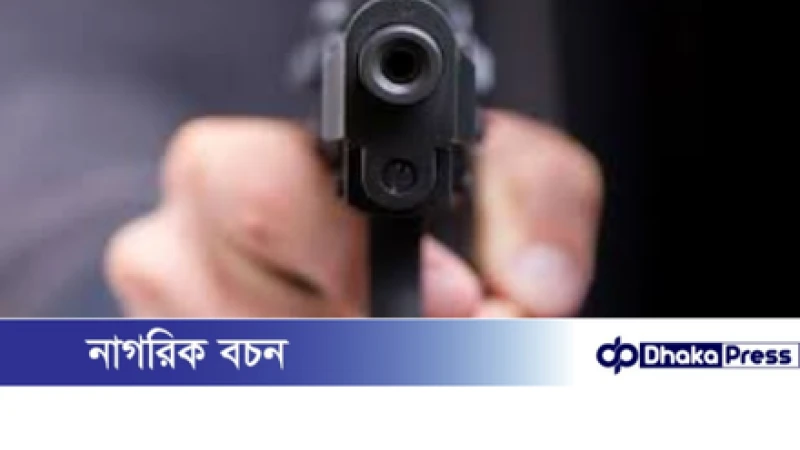 পাখি শিকারের প্রতিবাদ করায় যুবকের কপালে গুলি