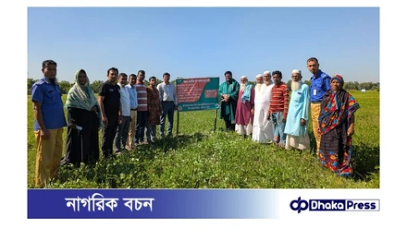 মুরাদনগরে কৃষকদের মাঝে বীজ বিতরণ ও মাসকলাই প্রদর্শনী পরিদর্শন