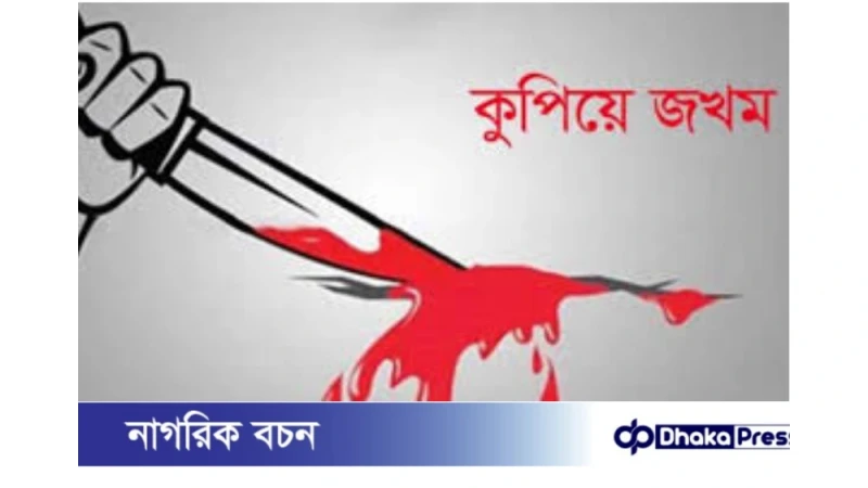 গাঁজা কেনার কথা নিয়ে দ্বন্দ্ব, কিশোরকে কুপিয়ে জখম