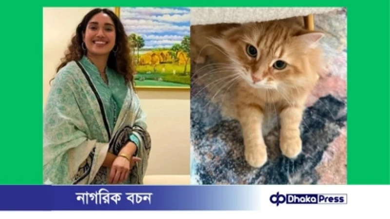 জেবুকে ঘিরে এত কৌতুহল দেখে আমি কিছুটা অবাক: জাইমা রহমান