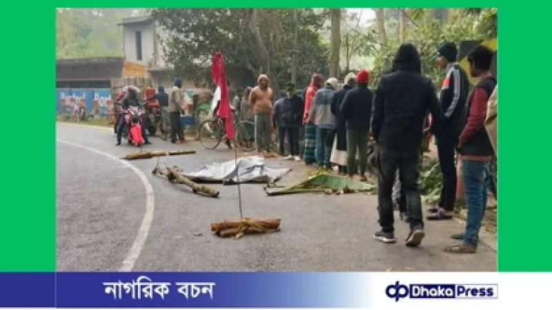 ডাম্প ট্রাক–নসিমন মুখোমুখি সংঘর্ষে মাছ ব্যবসায়ী নিহত
