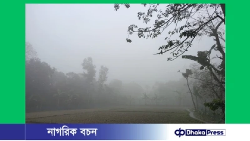 মাদারগঞ্জে জেঁকে বসেছে হাড়কাঁপানো শীত, জনজীবনে চরম দুর্ভোগ