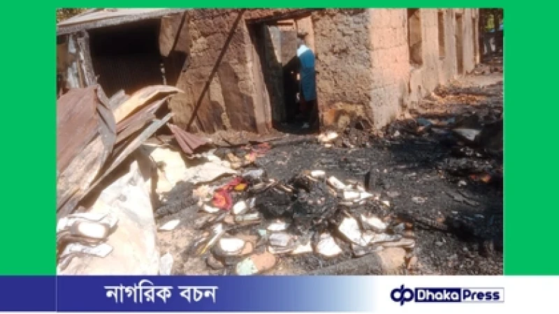 বাইশারীতে ভয়াবহ আগুনে বসতবাড়ি পুড়ে ছাই