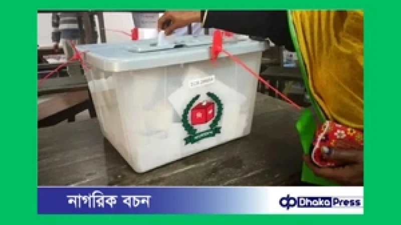 দেশের ভেতরে পোস্টাল ব্যালট পাঠানো শুরু