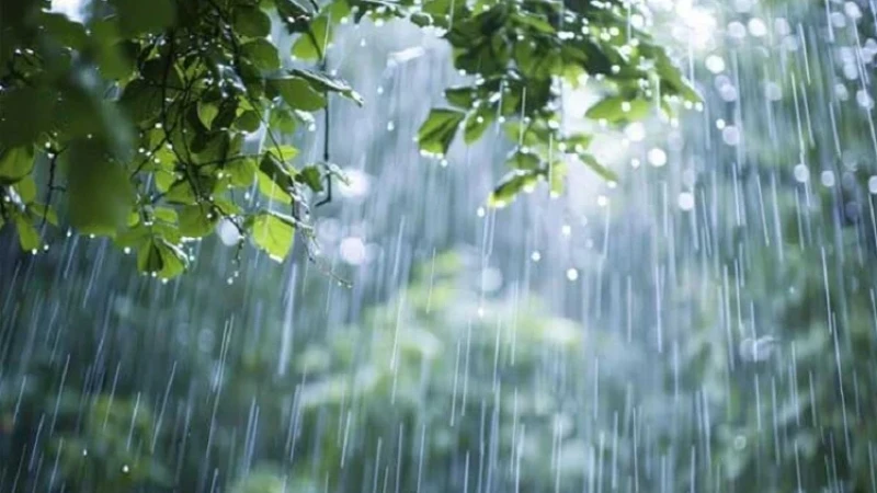 রাজধানী ঢাকাসহ দেশের চার বিভাগে হালকা বৃষ্টির সম্ভাবনা