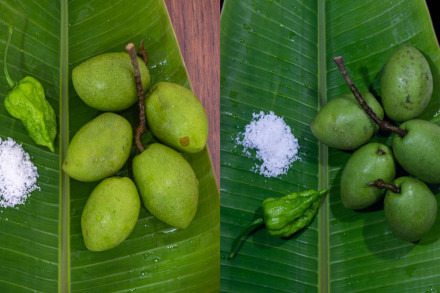 যেভাবে ঘরোয়া পদ্ধতিতে জলপাই সংরক্ষণ করবেন