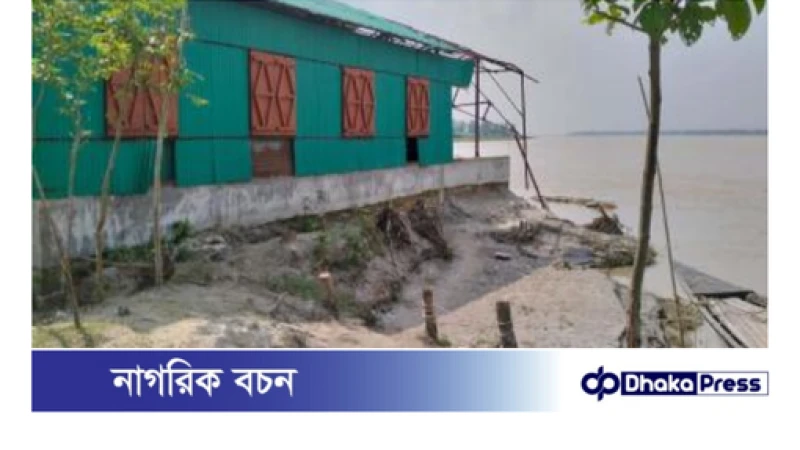 কুড়িগ্রামের উলিপুরে তিস্তার ভাঙন: ৫০ টিরও বেশি বাড়িঘর ও বিদ্যালয় বিপন্ন!